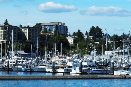 photo of Bainbridge Island, WA waterfront and marina with boats