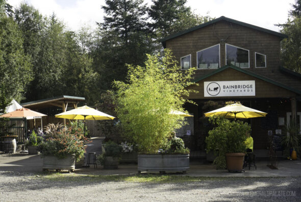 Entrance to Bainbridge Vineyards, featuring a rustic building surrounded by lush greenery and outdoor seating with bright yellow umbrellas. The welcoming atmosphere includes potted plants and shaded seating areas, set against a backdrop of tall trees, creating a cozy and natural vineyard experience.