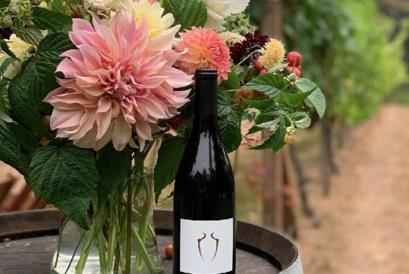 A bottle of wine from Olalla Wines & Vineyard placed on a rustic wine barrel, accompanied by a beautiful bouquet of large dahlias and other vibrant flowers. The background shows grapevines, creating a charming vineyard setting that emphasizes the connection between nature and winemaking.