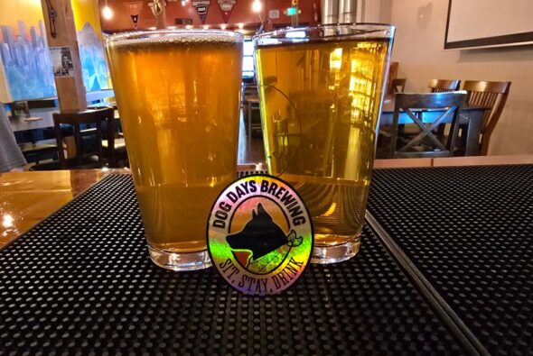 Two pints of IPA beer on top of a bar counter with the Dog Days logo on a sticker.