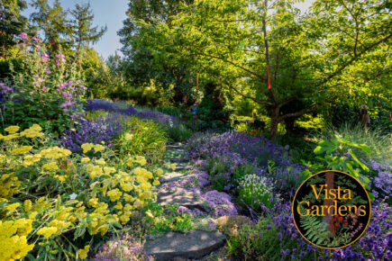 A serene garden path at Vista Gardens in Bremerton, WA, surrounded by lush greenery and vibrant, colorful flowers including yellow yarrow and purple lavender. The stone walkway meanders through densely planted flower beds, shaded by large trees, creating a peaceful and inviting atmosphere. The Vista Gardens logo is visible in the lower-right corner of the image.