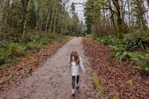 A young child in a silver jacket walks down a forest trail, surrounded by tall trees with sparse branches and a carpet of fallen leaves. The scene captures the tranquility of a winter hike.