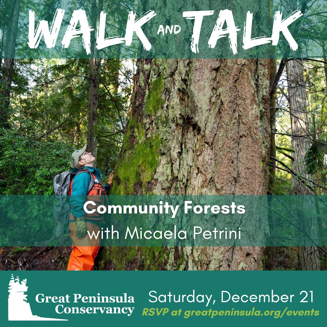 Walk and Talk: Community Forests