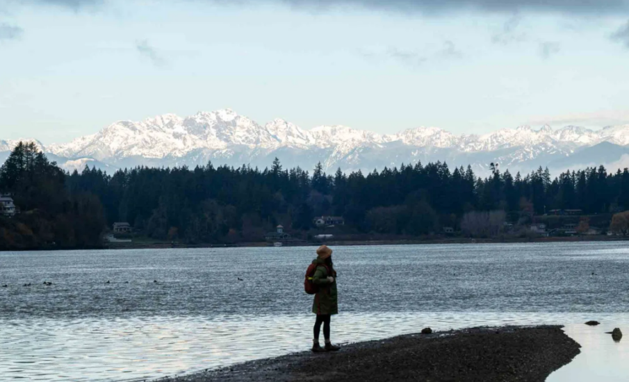 A person stands on a narrow strip of shoreline at Lions Park in Bremerton, Washington, gazing at the expansive view of the Olympic Mountains covered in snow. The calm water reflects the overcast sky, and dense evergreen forests frame the scene, creating a peaceful, serene atmosphere.