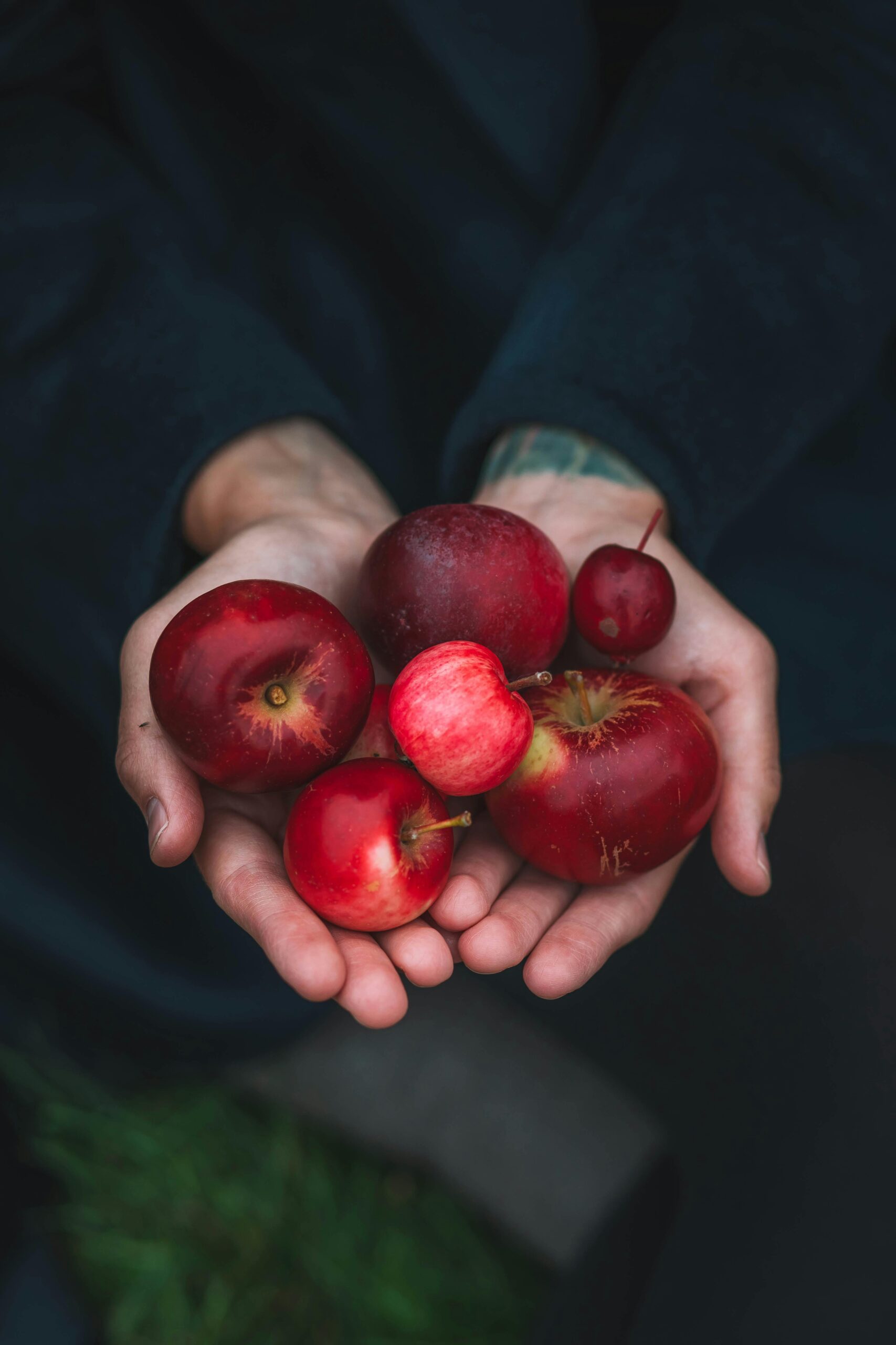 Cider Making and Tasting for Valentines