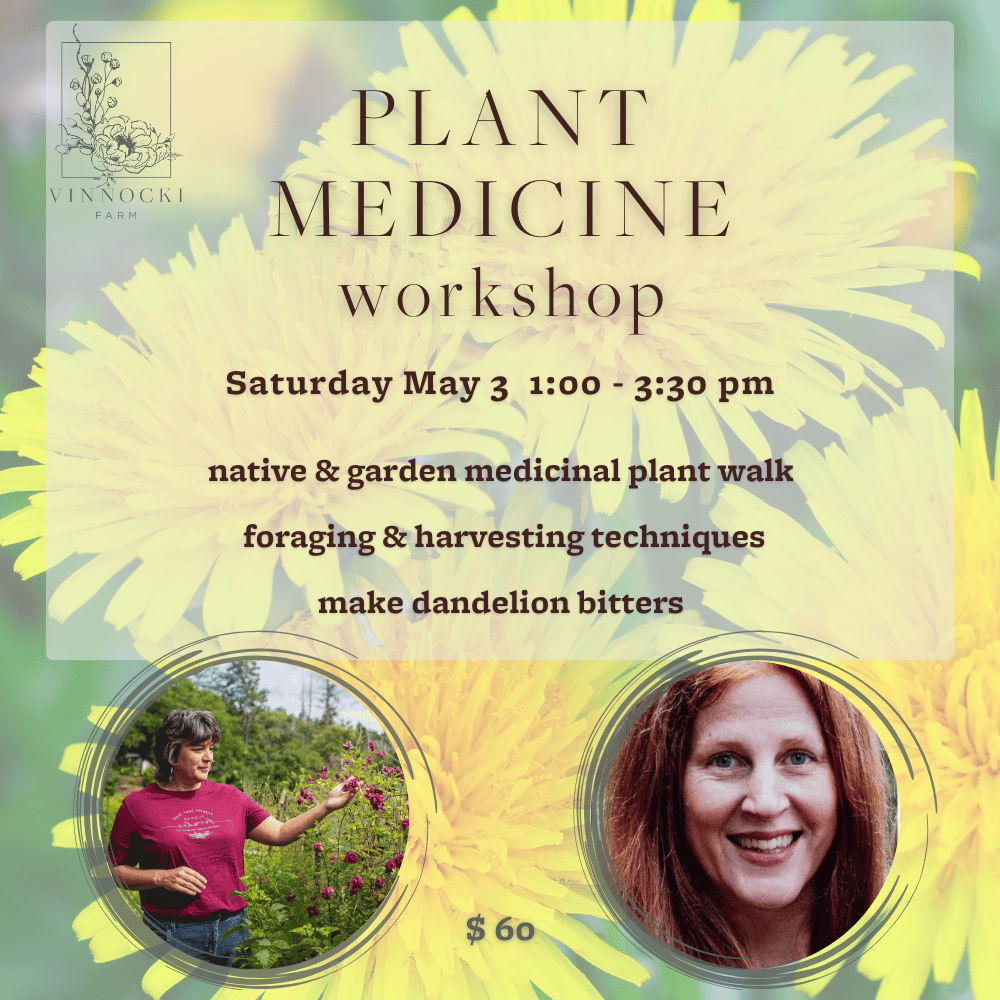 Plant Medicine Workshop
