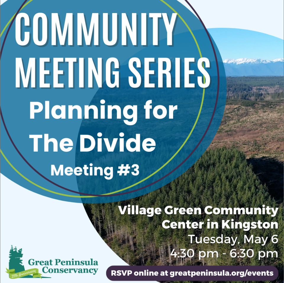 Divide Community Forest Planning Meeting #3