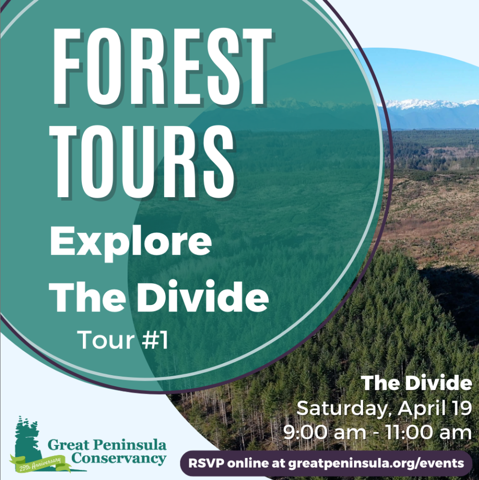 Divide Community Forest Tour #1