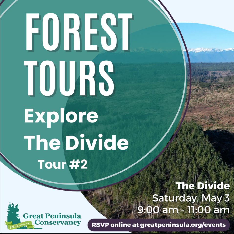 Divide Community Forest Tour #2