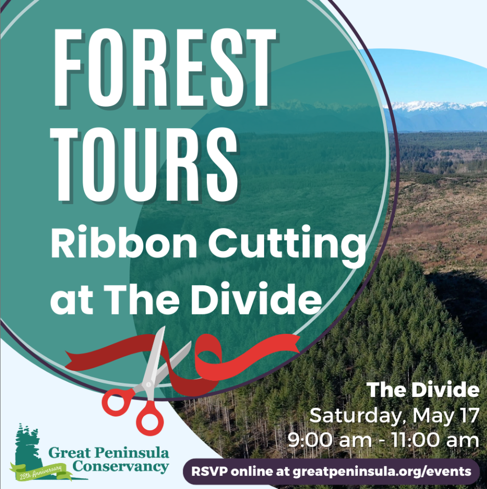 Divide Community Forest Tour and Ribbon Cutting