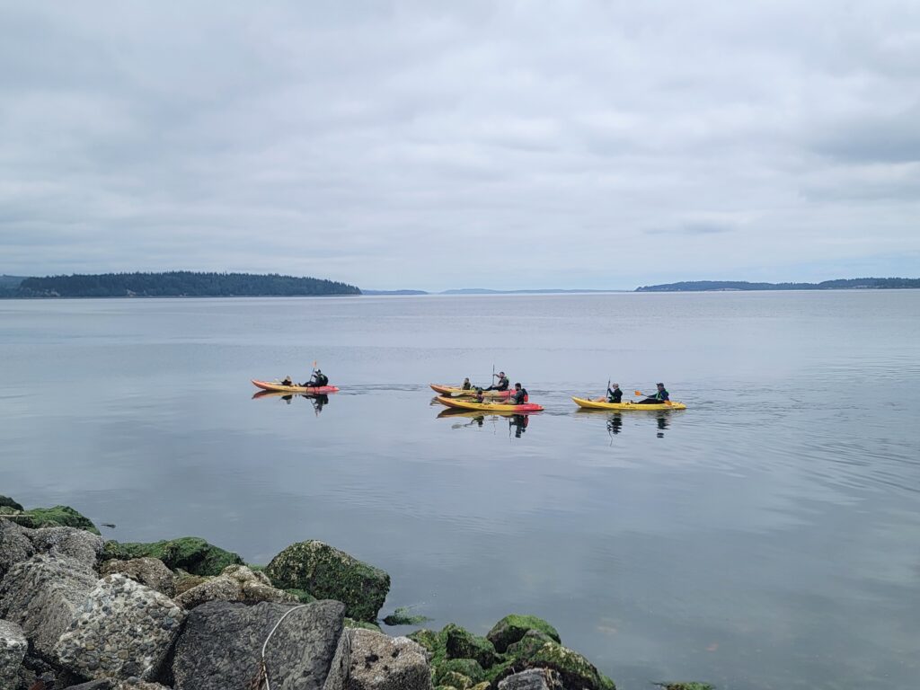 Five people in colorful kayaks paddle across a still, gray-toned bay with tree-lined islands in the background and mossy rocks in the foreground.