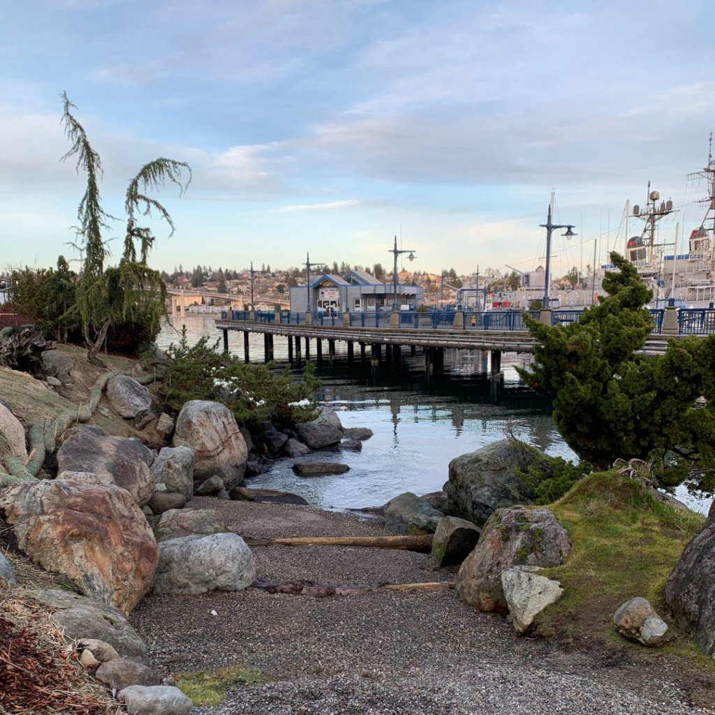 A quiet scene at the Bremerton Marina with rocky shoreline landscaping in the foreground, a wooden dock leading out to the water, and moored boats and city buildings in the background under soft morning light.