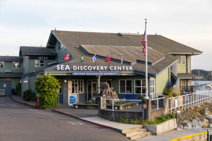 The SEA Discovery Center in Poulsbo, Washington, a coastal science center featuring marine education exhibits, with flags and a large octopus sculpture out front.