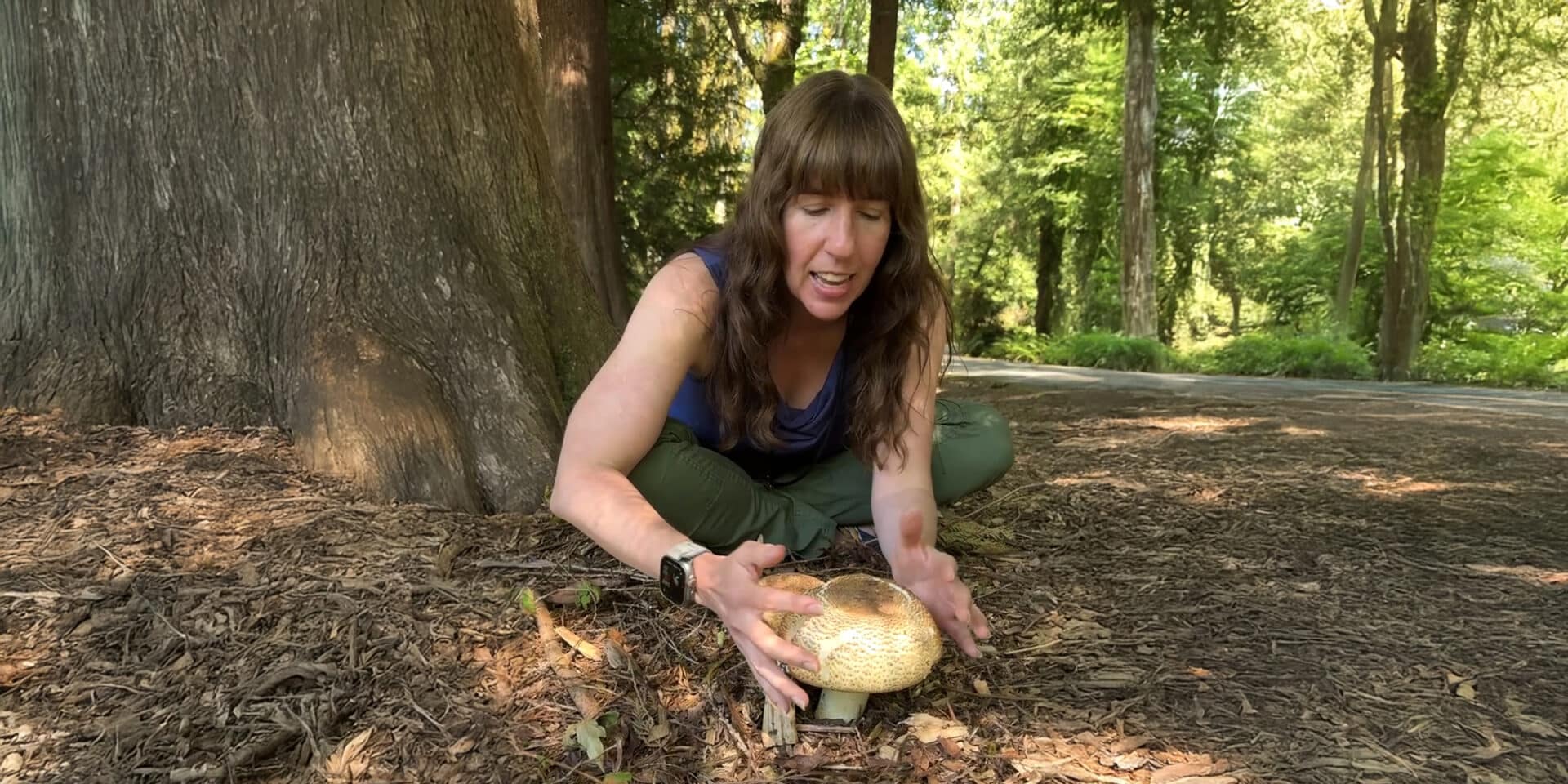 Mushroom Mania: A Fungal Foray by IslandWood