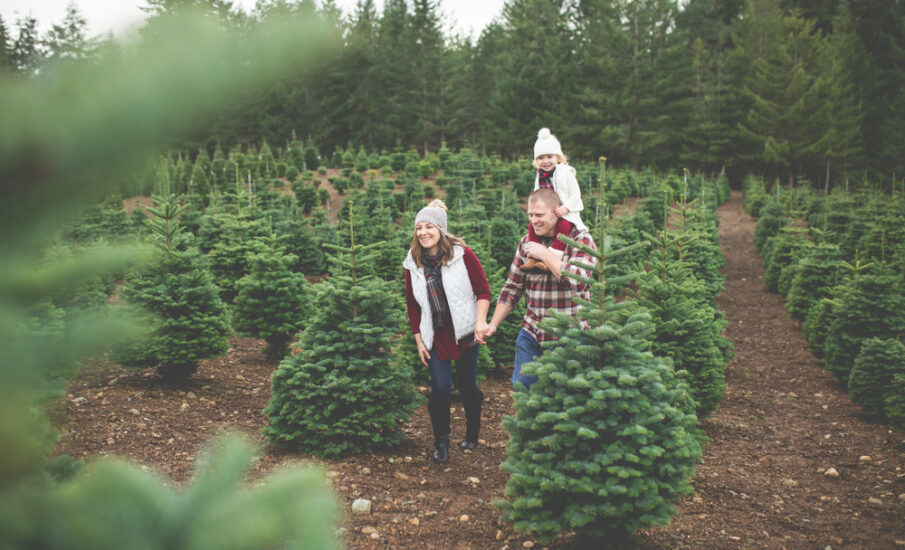 A smiling family walks hand in hand through rows of evergreens at a Kitsap Peninsula Christmas tree farm, bundled in cozy winter layers beneath misty forest skies.