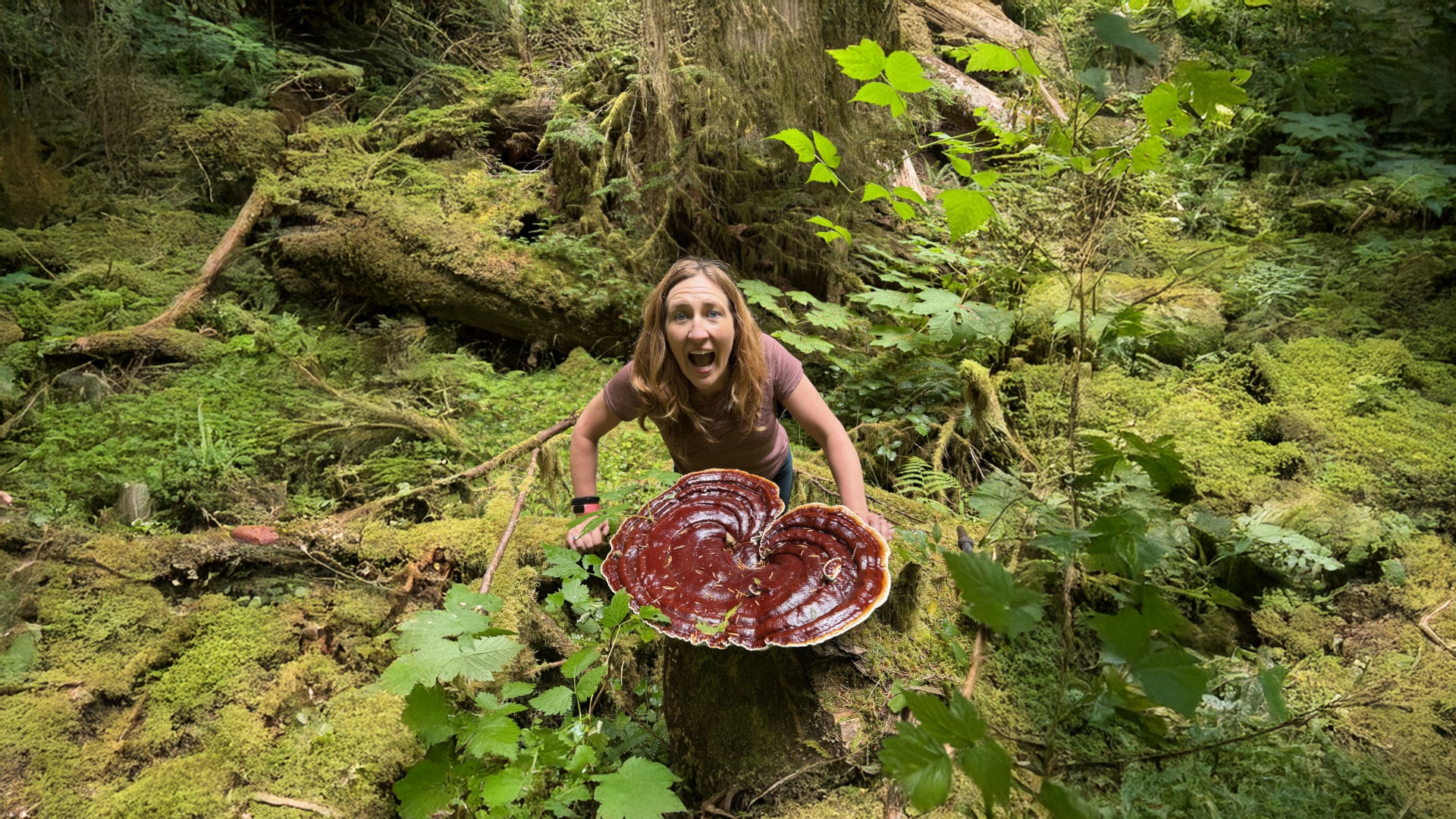 Mushroom Mania: A Fungal Foray Further Afield