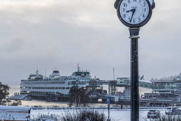 Photo credit Tim Davis