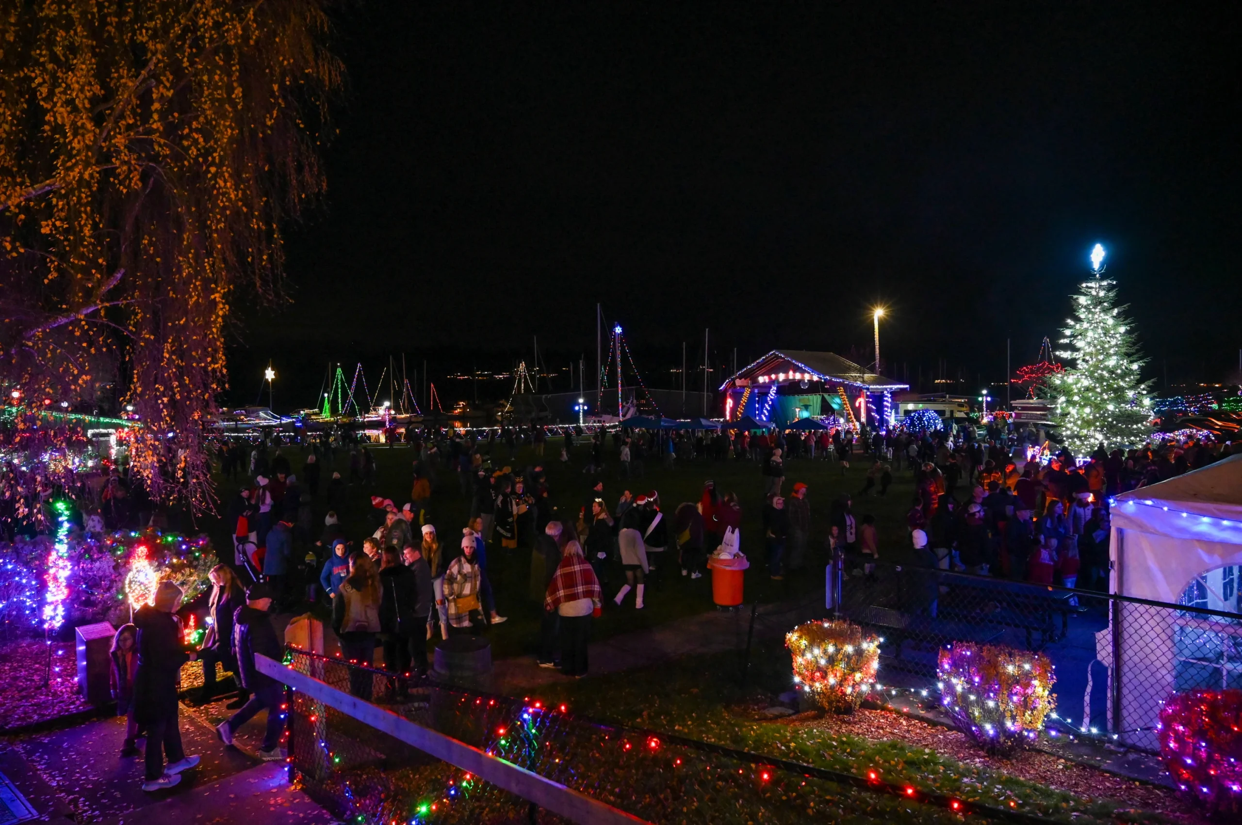 Kingston Cove Christmas