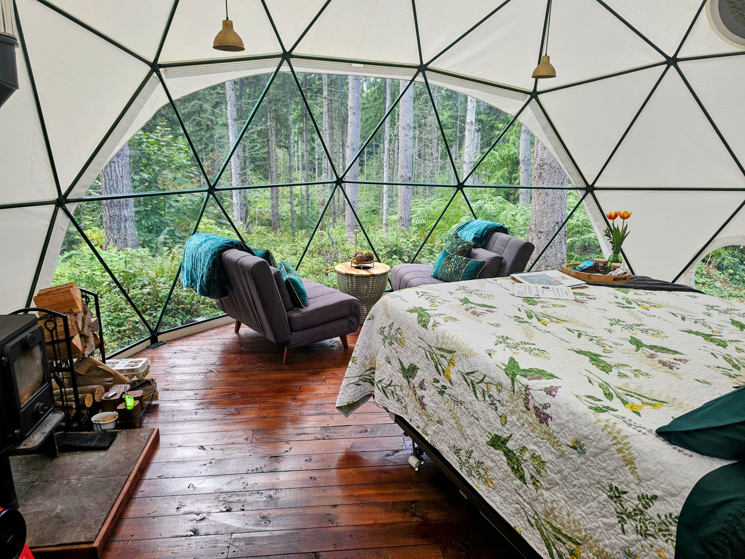 night owl landing dome2