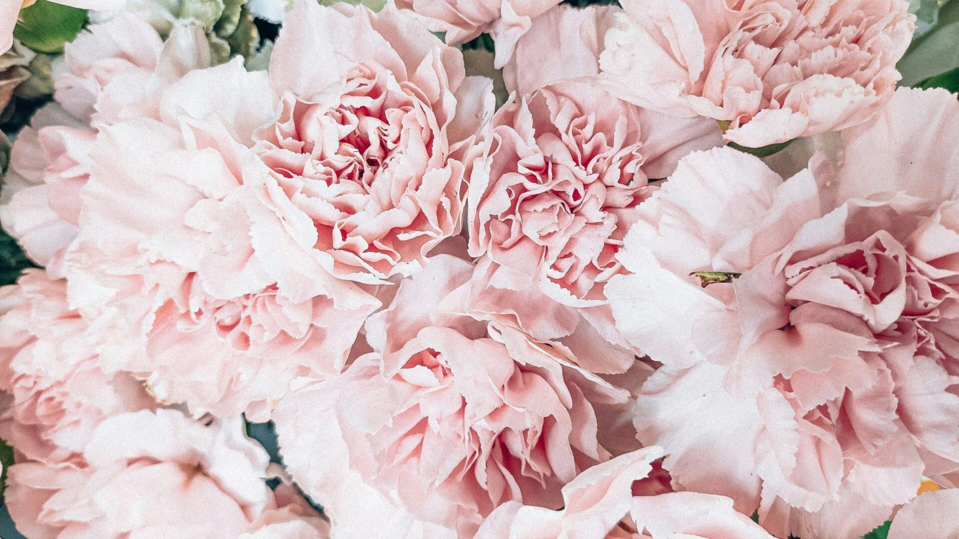 BIMA Blossoms Spring Makers Market