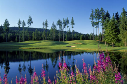 Lush green fairway reflected in a calm pond at Gold Mountain Golf Club, surrounded by evergreen trees and rolling hills under a clear blue sky.