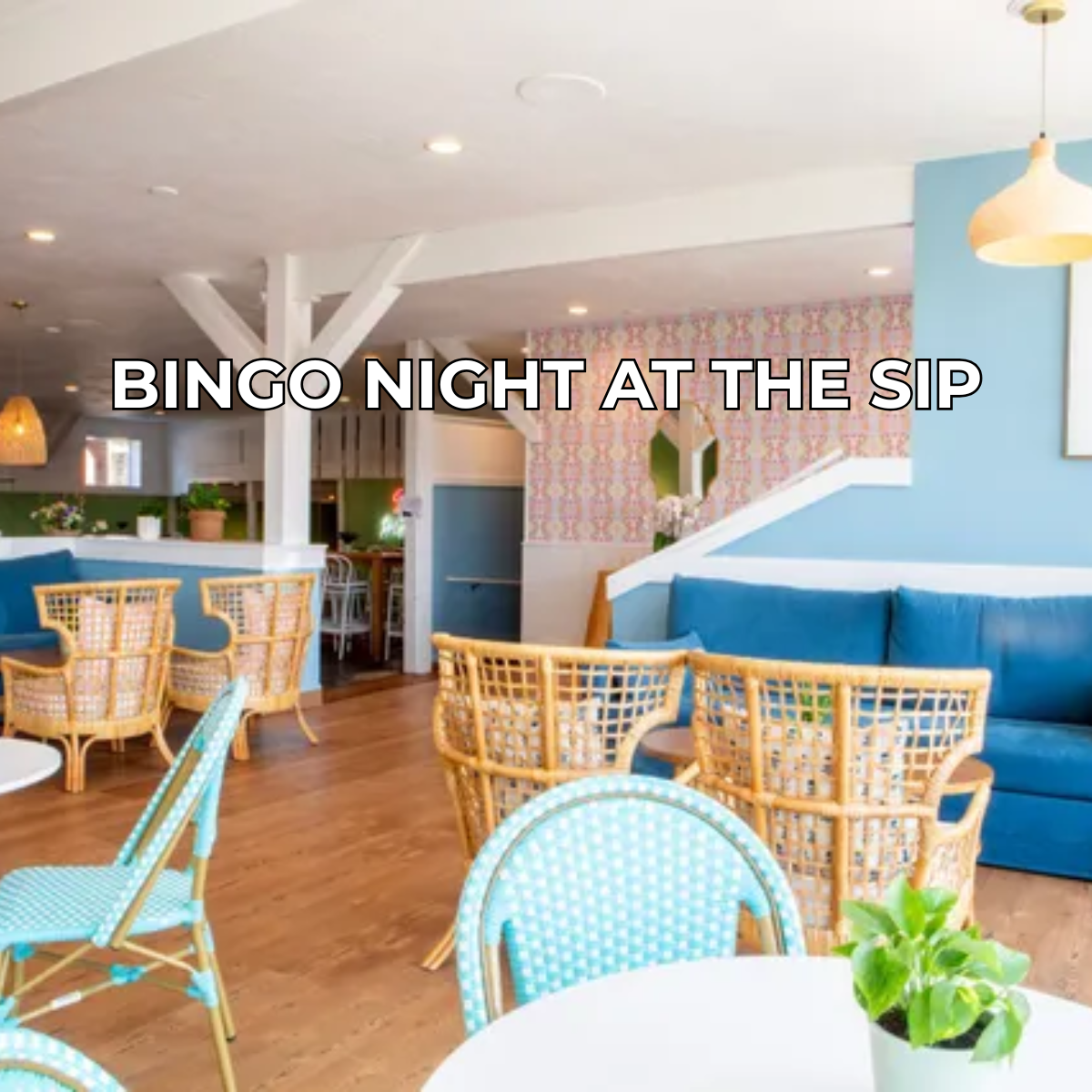 Music BINGO at The Sip