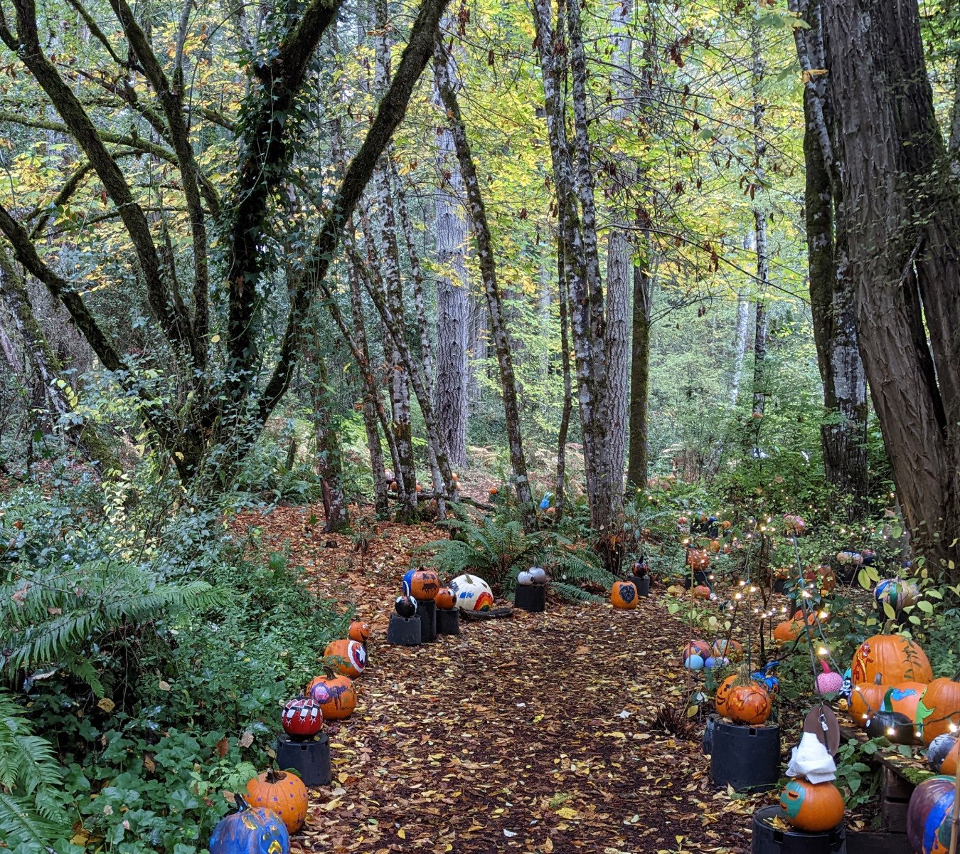 The Pumpkin Walk | Daily in October