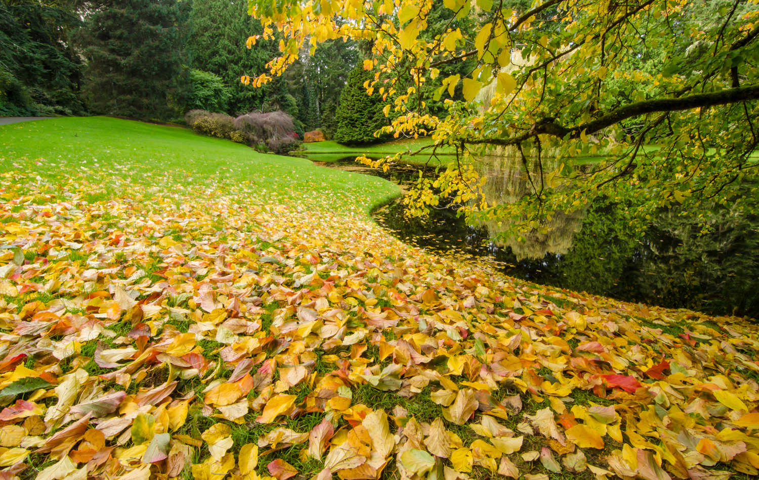 Bloedel Reserve: Fall Harvest