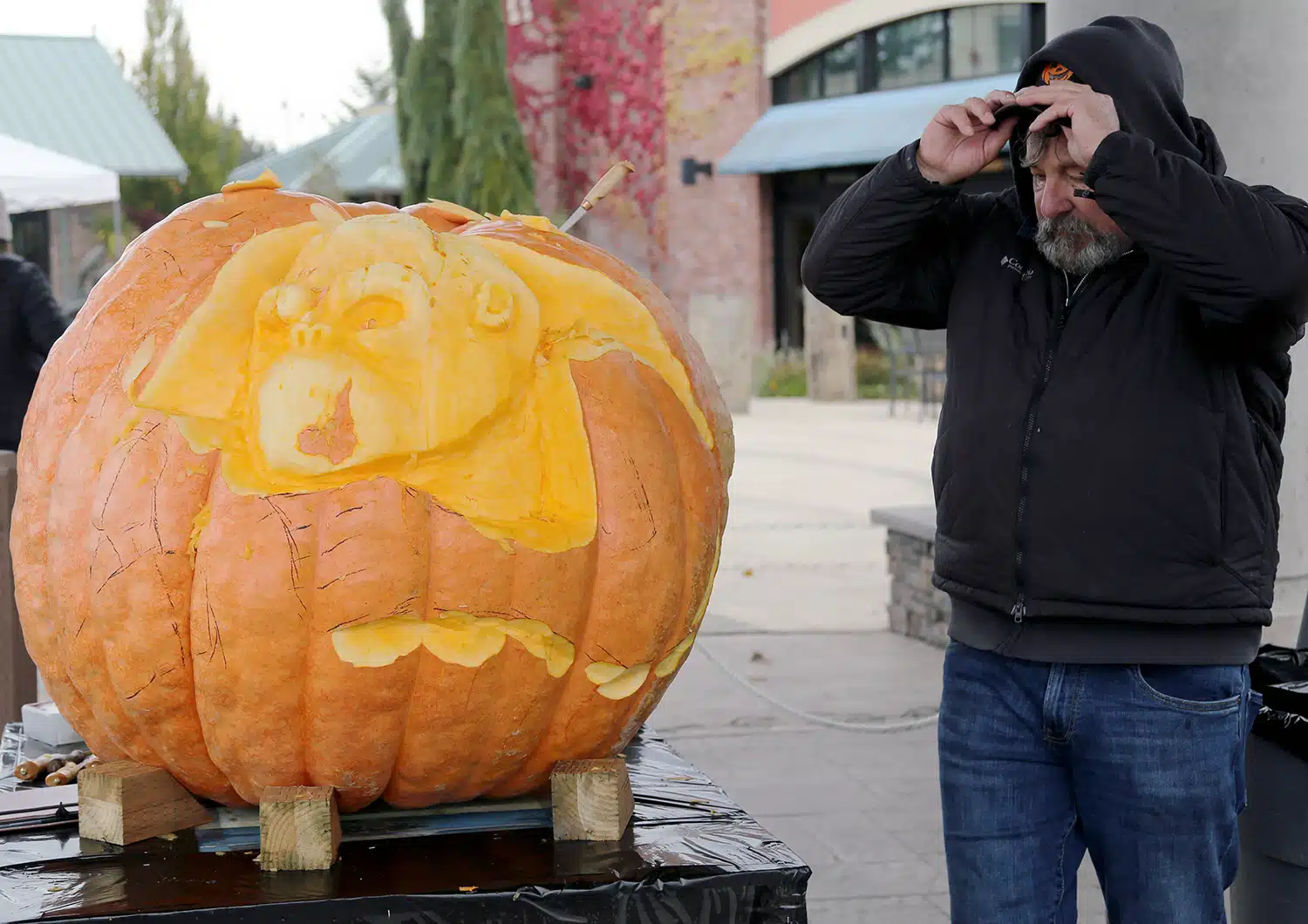 Halloween in Gig Harbor